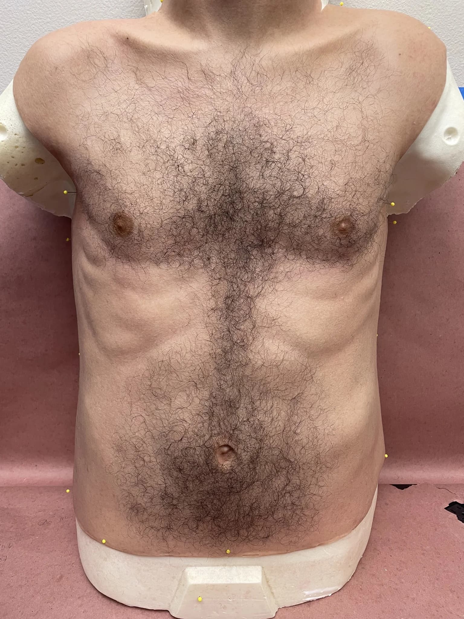 Body Hair Prosthetic Torso