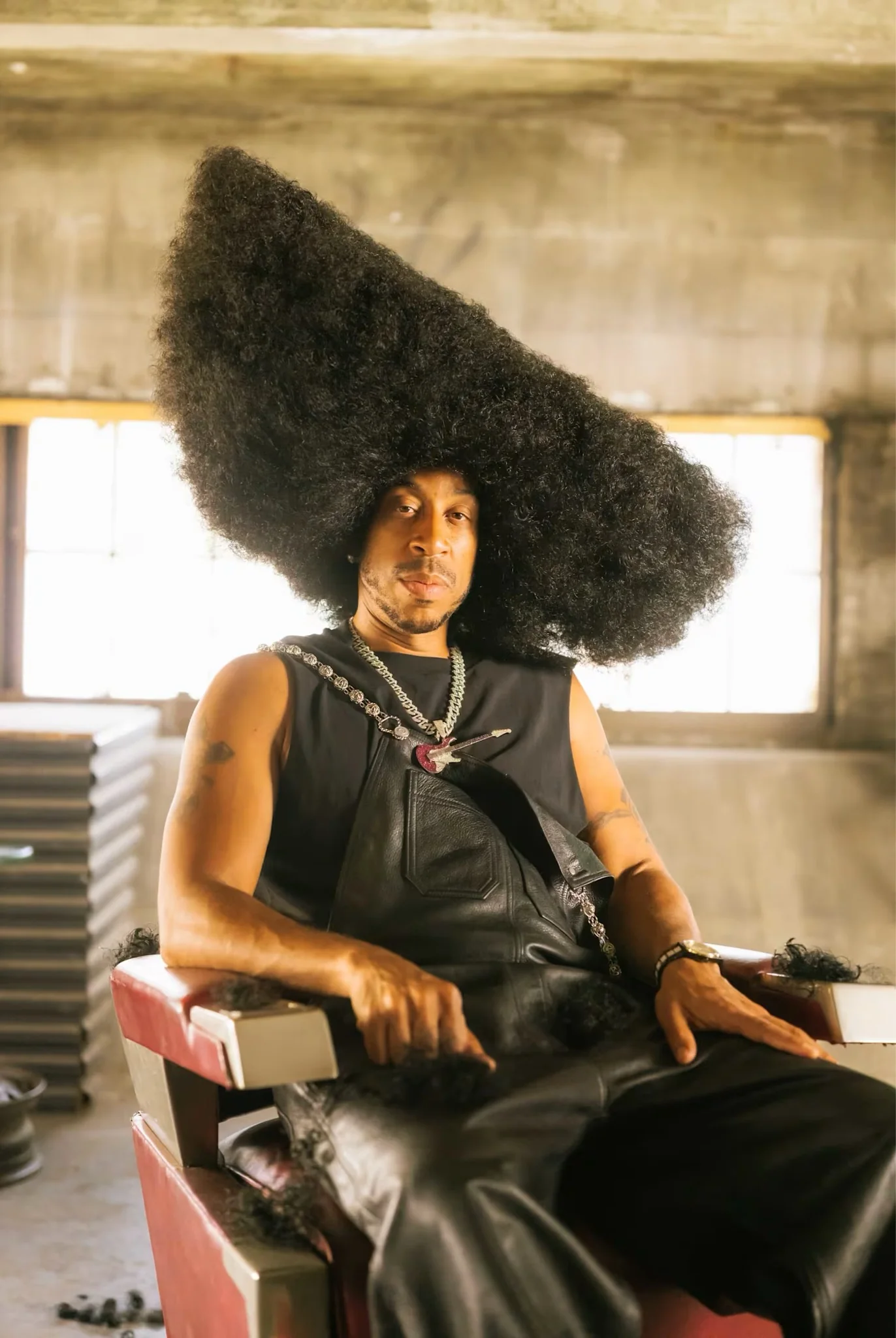 Ludacris Oversized Afro Portrait