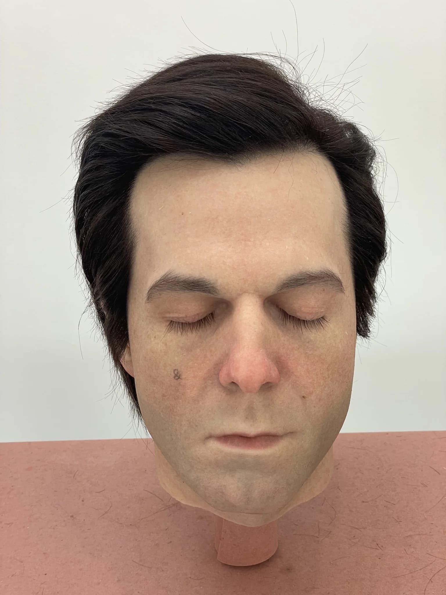 Prosthetic Male Head